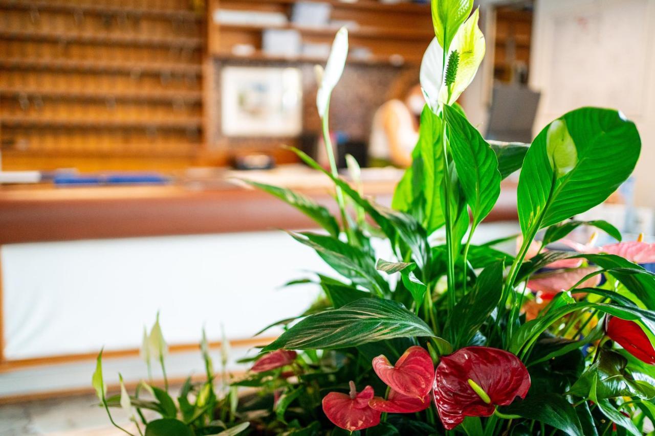 Hotel Stacchini تْشيزيناتيكو المظهر الخارجي الصورة